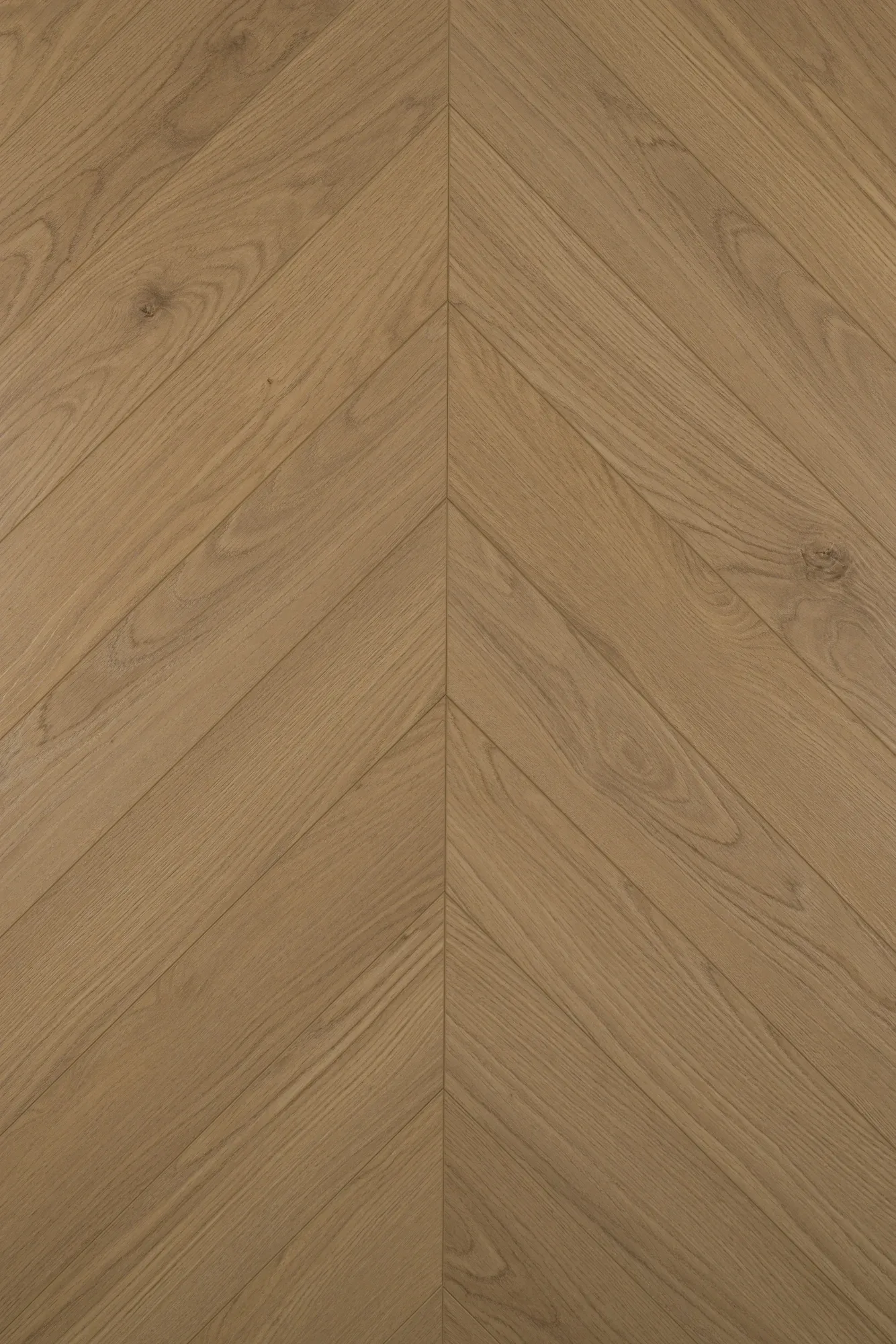 Ламинат My Step Herringbone Chevron Треви MS6512