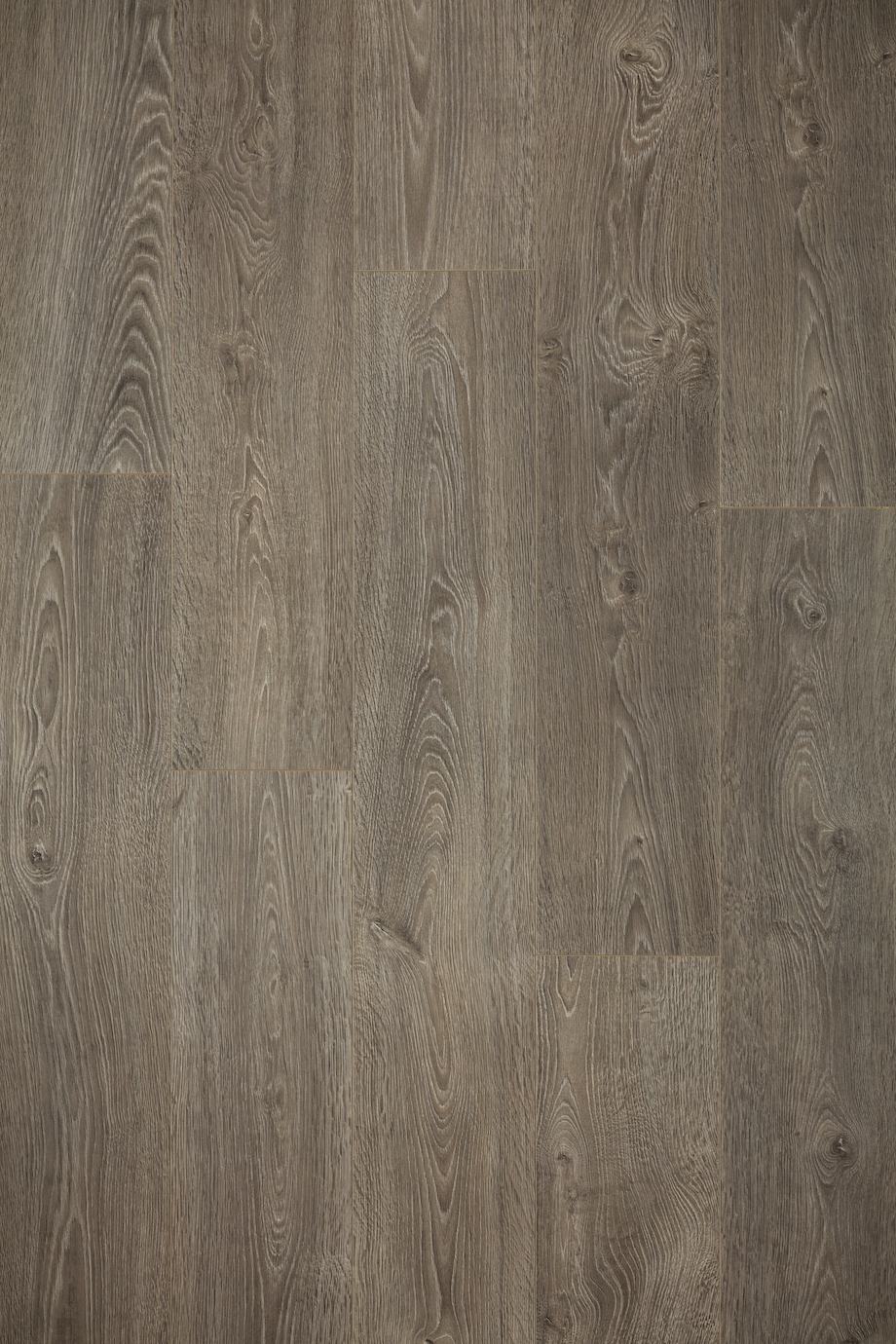Ламинат Loc Floor Fancy Дуб Европейский